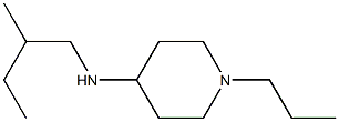  N-(2-methylbutyl)-1-propylpiperidin-4-amine