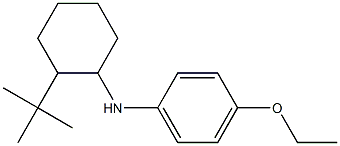 N-(2-tert-butylcyclohexyl)-4-ethoxyaniline,,结构式