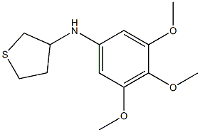 N-(3,4,5-trimethoxyphenyl)thiolan-3-amine 结构式