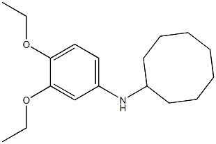 N-(3,4-diethoxyphenyl)cyclooctanamine Structure