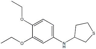 N-(3,4-diethoxyphenyl)thiolan-3-amine Structure