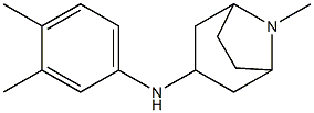 N-(3,4-dimethylphenyl)-8-methyl-8-azabicyclo[3.2.1]octan-3-amine