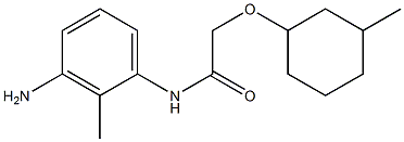 N-(3-amino-2-methylphenyl)-2-[(3-methylcyclohexyl)oxy]acetamide Structure