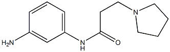 N-(3-aminophenyl)-3-pyrrolidin-1-ylpropanamide Struktur