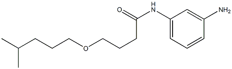 N-(3-aminophenyl)-4-[(4-methylpentyl)oxy]butanamide Structure