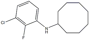 N-(3-chloro-2-fluorophenyl)cyclooctanamine Struktur