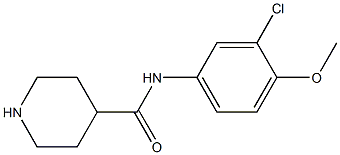 N-(3-chloro-4-methoxyphenyl)piperidine-4-carboxamide 结构式