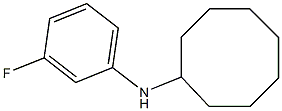 N-(3-fluorophenyl)cyclooctanamine