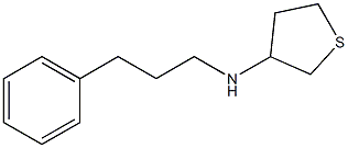 N-(3-phenylpropyl)thiolan-3-amine|