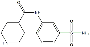 N-(3-sulfamoylphenyl)piperidine-4-carboxamide,,结构式