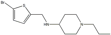 N-[(5-bromothiophen-2-yl)methyl]-1-propylpiperidin-4-amine Struktur