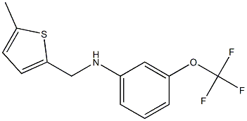 N-[(5-methylthiophen-2-yl)methyl]-3-(trifluoromethoxy)aniline 结构式