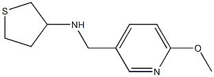 N-[(6-methoxypyridin-3-yl)methyl]thiolan-3-amine Structure