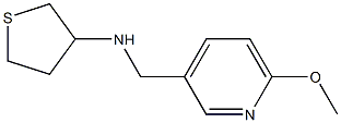 N-[(6-methoxypyridin-3-yl)methyl]thiolan-3-amine,,结构式