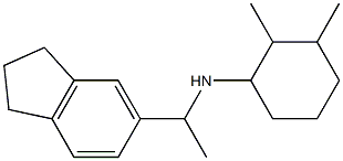 N-[1-(2,3-dihydro-1H-inden-5-yl)ethyl]-2,3-dimethylcyclohexan-1-amine 结构式