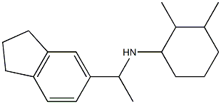 N-[1-(2,3-dihydro-1H-inden-5-yl)ethyl]-2,3-dimethylcyclohexan-1-amine