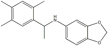 N-[1-(2,4,5-trimethylphenyl)ethyl]-2H-1,3-benzodioxol-5-amine Structure