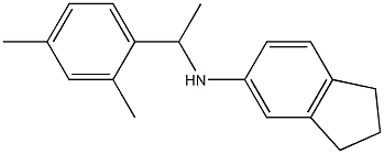 N-[1-(2,4-dimethylphenyl)ethyl]-2,3-dihydro-1H-inden-5-amine