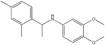 N-[1-(2,4-dimethylphenyl)ethyl]-3,4-dimethoxyaniline Struktur