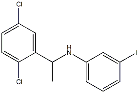 N-[1-(2,5-dichlorophenyl)ethyl]-3-iodoaniline 结构式