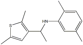 N-[1-(2,5-dimethylthiophen-3-yl)ethyl]-2,5-dimethylaniline