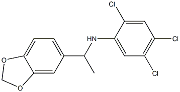 N-[1-(2H-1,3-benzodioxol-5-yl)ethyl]-2,4,5-trichloroaniline Structure