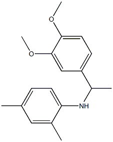 N-[1-(3,4-dimethoxyphenyl)ethyl]-2,4-dimethylaniline Structure