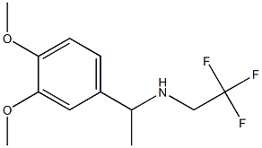 N-[1-(3,4-dimethoxyphenyl)ethyl]-N-(2,2,2-trifluoroethyl)amine Struktur