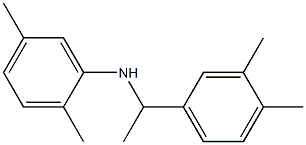  N-[1-(3,4-dimethylphenyl)ethyl]-2,5-dimethylaniline