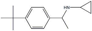 N-[1-(4-tert-butylphenyl)ethyl]-N-cyclopropylamine Structure