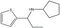 N-[1-(thiophen-2-yl)propyl]cyclopentanamine Structure