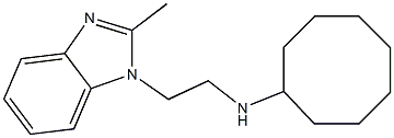 N-[2-(2-methyl-1H-1,3-benzodiazol-1-yl)ethyl]cyclooctanamine