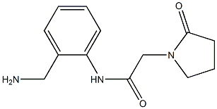 N-[2-(aminomethyl)phenyl]-2-(2-oxopyrrolidin-1-yl)acetamide Struktur