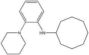 N-[2-(piperidin-1-yl)phenyl]cyclooctanamine