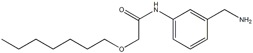 N-[3-(aminomethyl)phenyl]-2-(heptyloxy)acetamide Structure