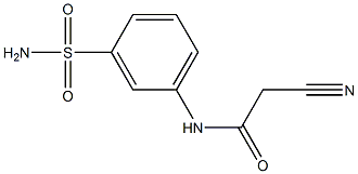 N-[3-(aminosulfonyl)phenyl]-2-cyanoacetamide Structure