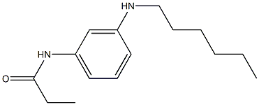 N-[3-(hexylamino)phenyl]propanamide Struktur