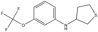 N-[3-(trifluoromethoxy)phenyl]thiolan-3-amine Structure