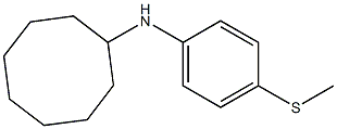 N-[4-(methylsulfanyl)phenyl]cyclooctanamine,,结构式