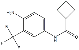 N-[4-amino-3-(trifluoromethyl)phenyl]cyclobutanecarboxamide Structure