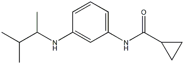 N-{3-[(3-methylbutan-2-yl)amino]phenyl}cyclopropanecarboxamide