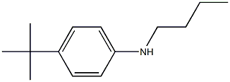 N-butyl-4-tert-butylaniline 化学構造式