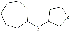 N-cycloheptylthiolan-3-amine Struktur