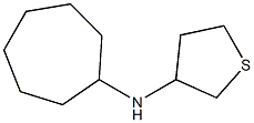 N-cycloheptylthiolan-3-amine Structure