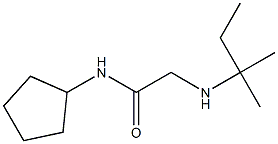 N-cyclopentyl-2-[(2-methylbutan-2-yl)amino]acetamide 结构式