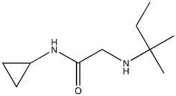 N-cyclopropyl-2-[(2-methylbutan-2-yl)amino]acetamide 结构式