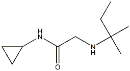 N-cyclopropyl-2-[(2-methylbutan-2-yl)amino]acetamide Structure