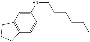 N-hexyl-2,3-dihydro-1H-inden-5-amine Structure