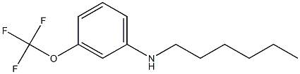 N-hexyl-3-(trifluoromethoxy)aniline Structure