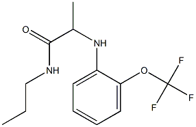 N-propyl-2-{[2-(trifluoromethoxy)phenyl]amino}propanamide|